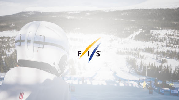 Summary of the main decisions of the 2020 FIS Snowboard, Freestyle & Freeski Committee Meetings