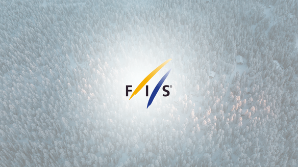 FIS Book of Reports 2023 is available online