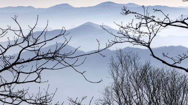 JEONGSEON, SOUTH KOREA - MARCH 04: A general view during the Audi FIS Alpine Ski World Cup Women's Downhill on March 04, 2017 in Jeongseon, South Korea (Photo by Alexis Boichard/Agence Zoom)