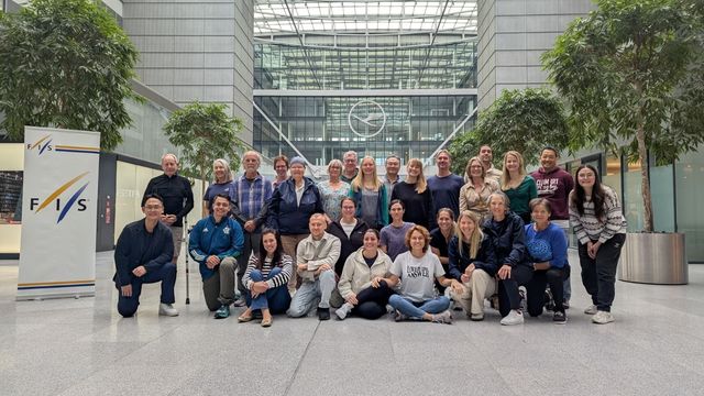 Para classifiers at FIS seminar