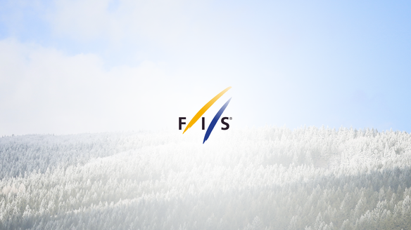 In focus: year 2 of the FIS Strategic Plan