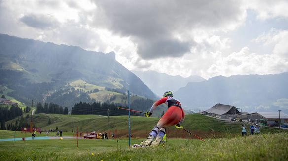 Grass skiing: World Cup final on the Marbachegg