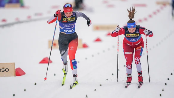 FIS Webinar Series "Training the Female Athlete" Returns for 2026–27: Registration Now Open