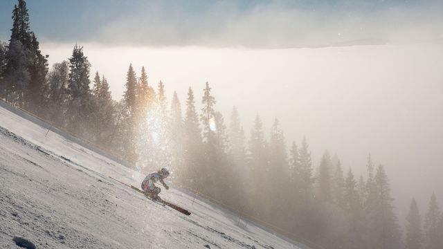 Sustainable Nutrition Boosted at Åre World Cup with “Food for White Winters,” Supported by FIS