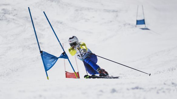 Telemark: Watch live the Sprint races in Trillevallen (SWE)