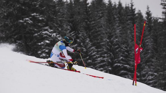 Telemark World Cup - Racing Spirit and Art Combined  by Sam Decout