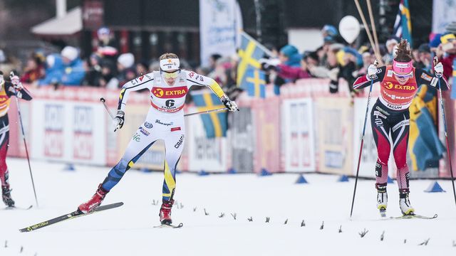 FIS world cup cross-country, individual sprint, Falun (SWE)