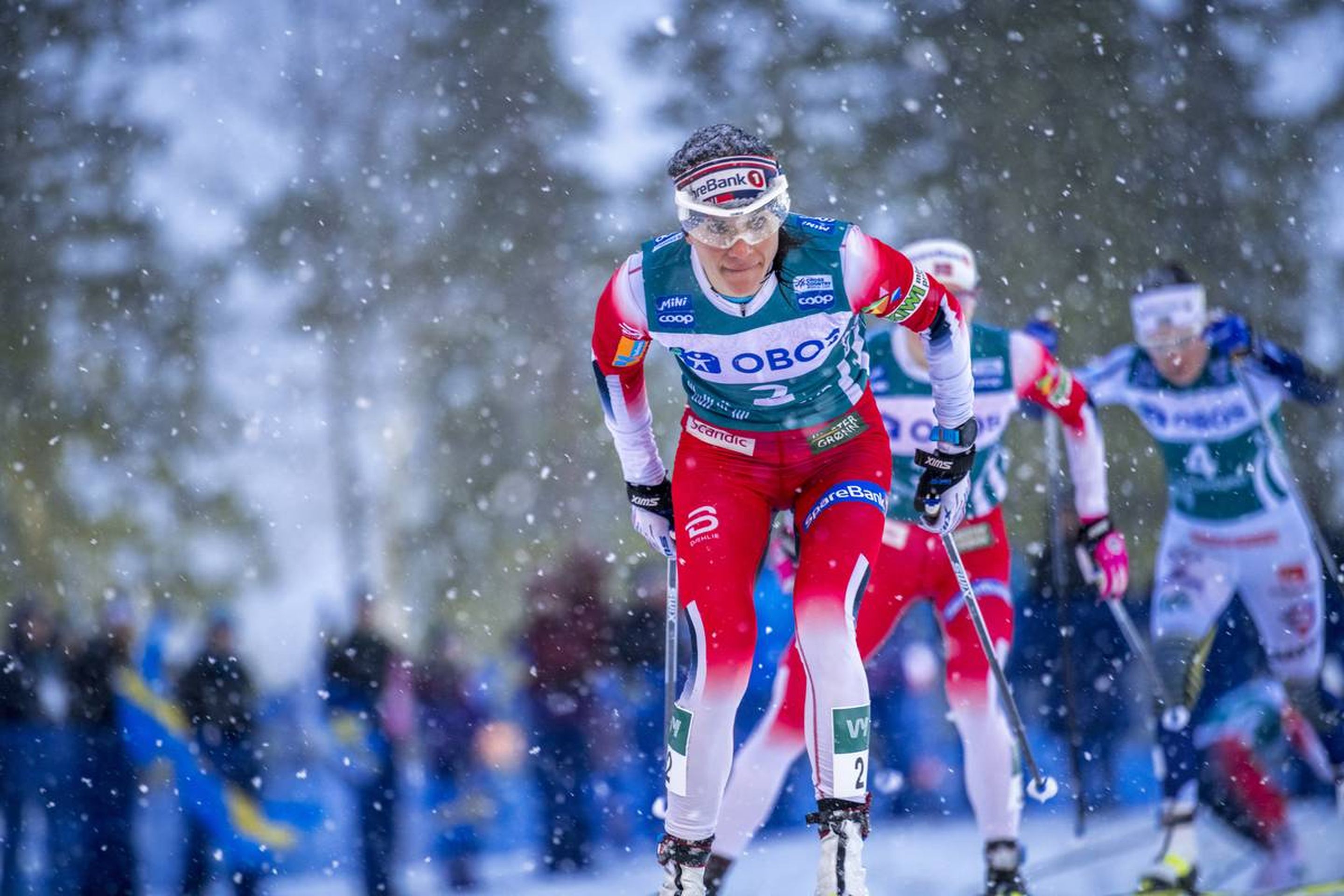 16.02.2020, Oestersund, Sweden (SWE):
Heidi Weng (NOR) - FIS world cup cross-country, pursuit women, Oestersund (SWE). www.nordicfocus.com. ©THIBAUT/NordicFocus. Every downloaded picture is fee-liable.