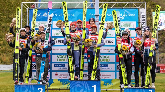 Team Japan, Team Germany, Team Austria