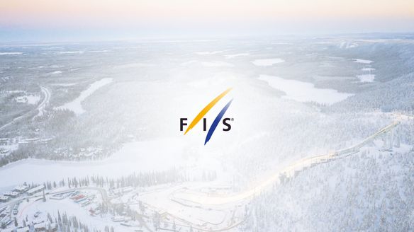 Expert working groups established for FIS CC spring meetings