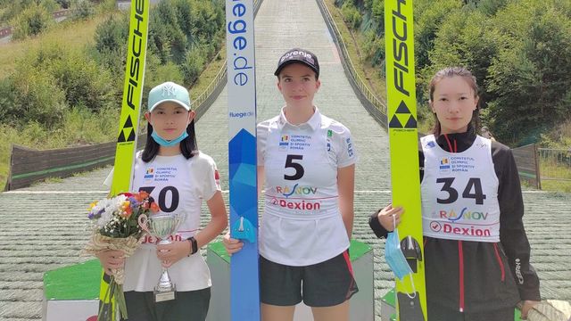 Liangyao Wang, Jerneja Brecl, Bing Dong