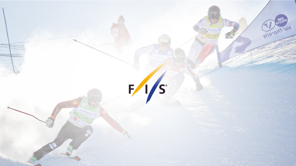 Updates from the Ski Cross Sub-Committee online meeting
