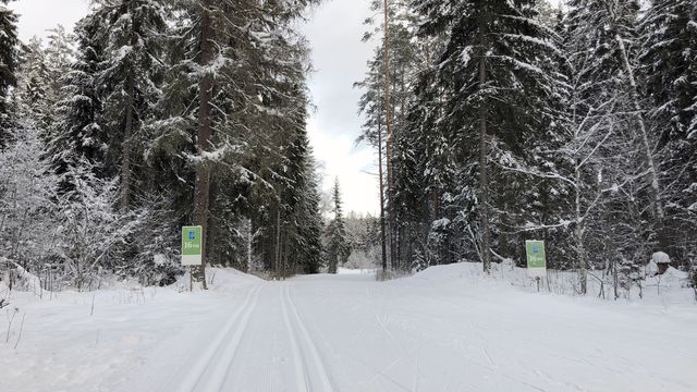 Tartu Maraton’s track on the 16th of January