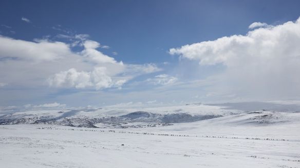 Johaug and Krüger win Skarverennet 2019