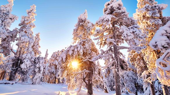 Cross-Country and Nordic Combined start season this weekend