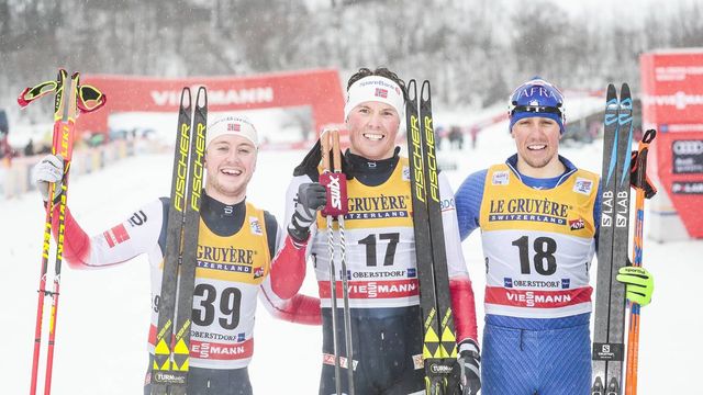 FIS world cup cross-country, tour de ski, mass men, Oberstdorf (GER)