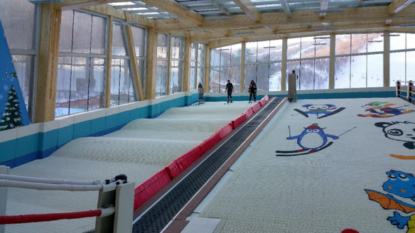 Dry Slope Centres Keeping Snowsports Popular in China After Beijing Olympics