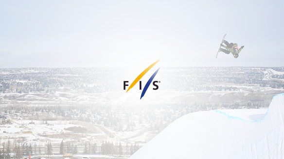 New Working Groups approved at the FIS Council Meeting in June