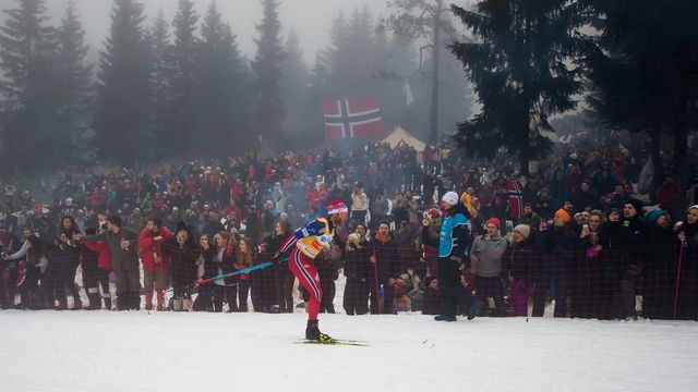 FIS world cup cross-country, mass men, Oslo (NOR)