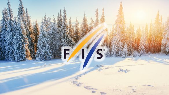 Statement to FIS Council member Urs Lehmann’s criticism in the media