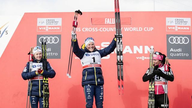 FIS world cup cross-country, individual sprint, Falun (SWE)