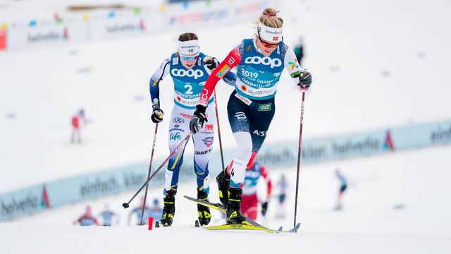 Image by NordicFocus