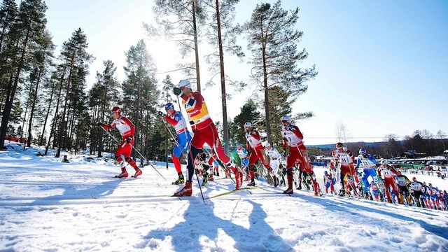 FIS world cup cross-country, mass men, Falun (SWE)